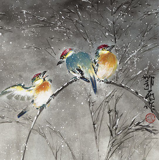 Three colorful birds perched on snowy branch